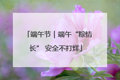 端午节｜端午“粽情长” 安全不打烊