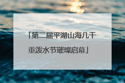 第二届平湖山海几千重泼水节璀璨启幕