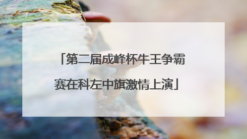 第二届成峰杯牛王争霸赛在科左中旗激情上演