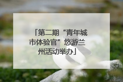 第二期“青年城市体验官”悠游兰州活动举办