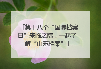 第十八个“国际档案日”来临之际，一起了解“山东档案”