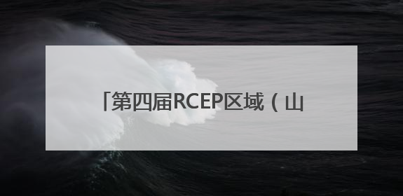 第四届RCEP区域（山东）进口商品博览会开幕