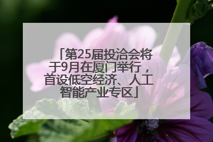 第25届投洽会将于9月在厦门举行，首设低空经济、人工智能产业专区