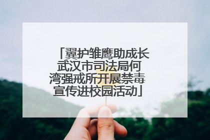 翼护雏鹰助成长 武汉市司法局何湾强戒所开展禁毒宣传进校园活动