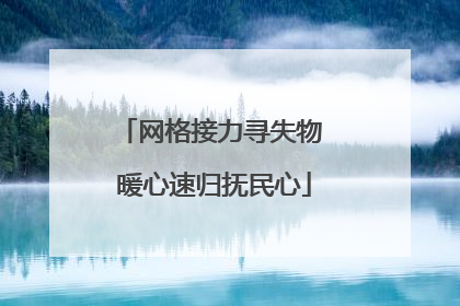 网格接力寻失物 暖心速归抚民心