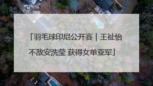 羽毛球印尼公开赛｜王祉怡不敌安洗莹 获得女单亚军