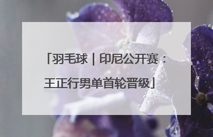 羽毛球｜印尼公开赛：王正行男单首轮晋级