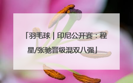 羽毛球｜印尼公开赛：程星/张驰晋级混双八强