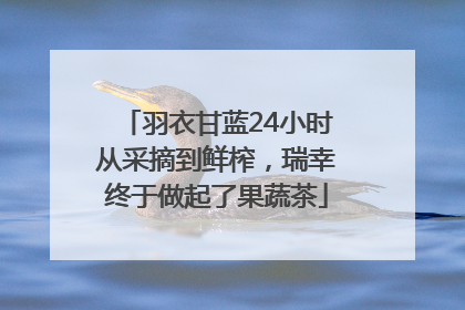 羽衣甘蓝24小时从采摘到鲜榨，瑞幸终于做起了果蔬茶
