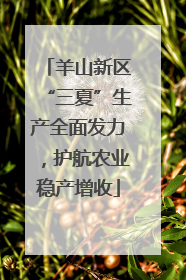 羊山新区“三夏”生产全面发力，护航农业稳产增收