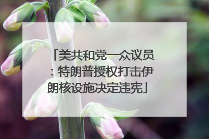 美共和党一众议员：特朗普授权打击伊朗核设施决定违宪