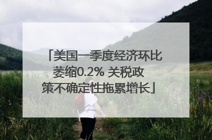 美国一季度经济环比萎缩0.2% 关税政策不确定性拖累增长