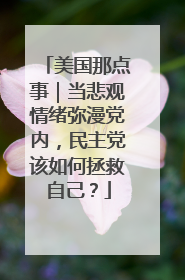 美国那点事｜当悲观情绪弥漫党内，民主党该如何拯救自己？