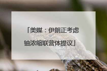 美媒：伊朗正考虑铀浓缩联营体提议