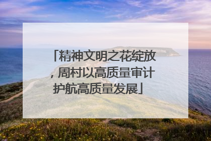 精神文明之花绽放，周村以高质量审计护航高质量发展