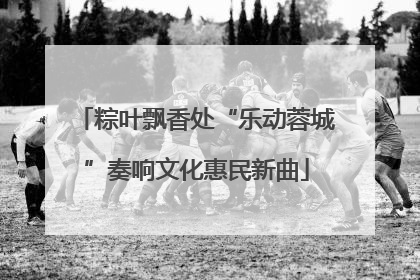粽叶飘香处“乐动蓉城”奏响文化惠民新曲