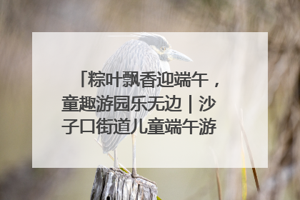 粽叶飘香迎端午，童趣游园乐无边｜沙子口街道儿童端午游园活动圆满落幕