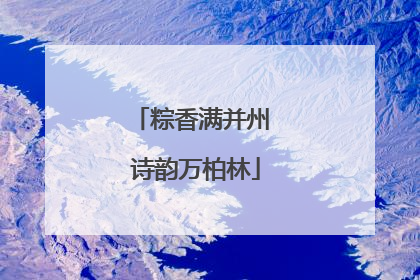 粽香满并州 诗韵万柏林