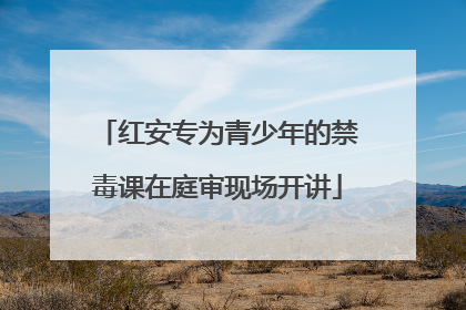 红安专为青少年的禁毒课在庭审现场开讲