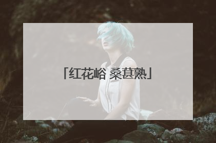 红花峪 桑葚熟