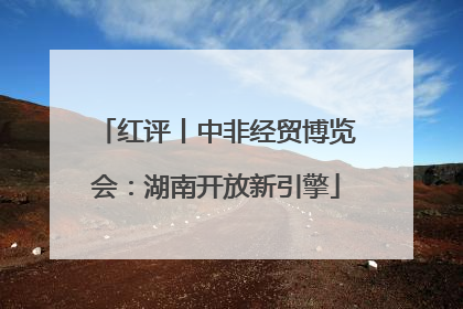 红评丨中非经贸博览会：湖南开放新引擎