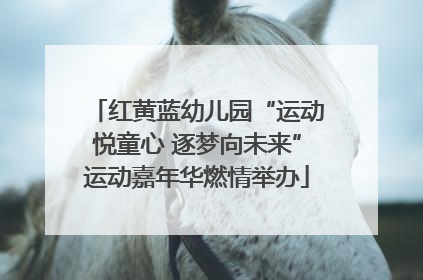 红黄蓝幼儿园“运动悦童心 逐梦向未来”运动嘉年华燃情举办