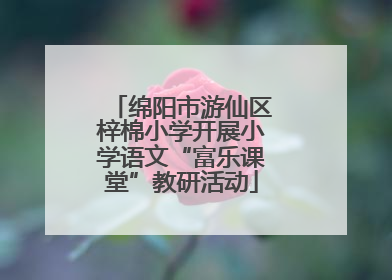 绵阳市游仙区梓棉小学开展小学语文“富乐课堂”教研活动