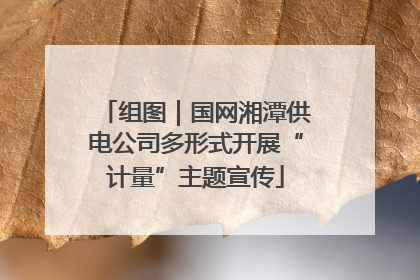 组图｜国网湘潭供电公司多形式开展“计量”主题宣传