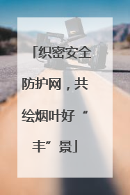 织密安全防护网，共绘烟叶好“丰”景