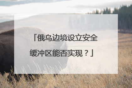 俄乌边境设立安全缓冲区能否实现？