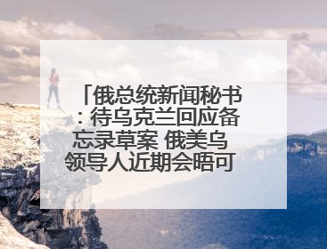 俄总统新闻秘书：待乌克兰回应备忘录草案 俄美乌领导人近期会晤可能性小