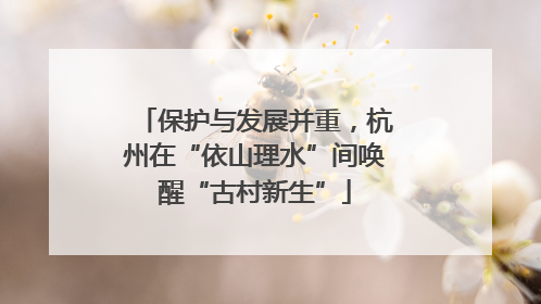 保护与发展并重，杭州在“依山理水”间唤醒“古村新生”