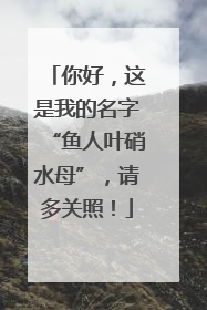 你好，这是我的名字“鱼人叶硝水母”，请多关照！