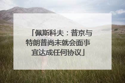佩斯科夫：普京与特朗普尚未就会面事宜达成任何协议