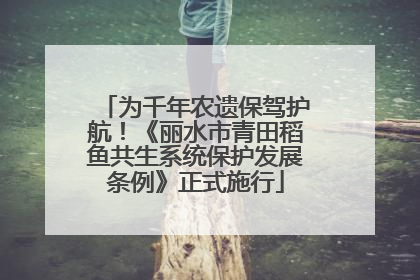 为千年农遗保驾护航！《丽水市青田稻鱼共生系统保护发展条例》正式施行