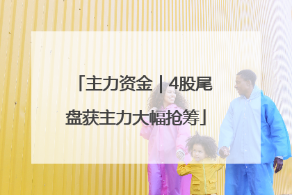 主力资金｜4股尾盘获主力大幅抢筹