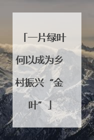一片绿叶何以成为乡村振兴“金叶”