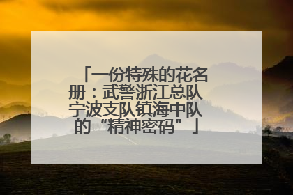 一份特殊的花名册：武警浙江总队宁波支队镇海中队的“精神密码”
