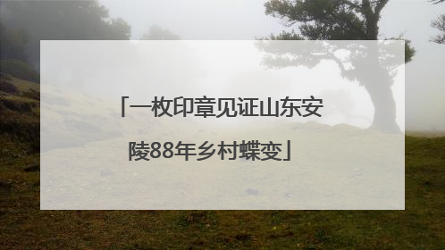 一枚印章见证山东安陵88年乡村蝶变