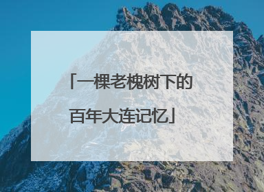 一棵老槐树下的百年大连记忆