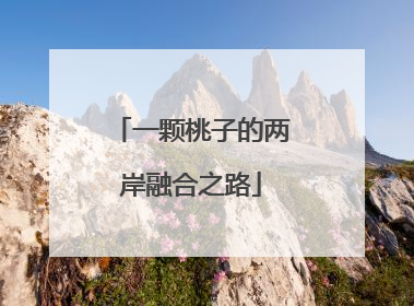 一颗桃子的两岸融合之路