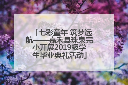 七彩童年 筑梦远航——嘉禾县珠泉完小开展2019级学生毕业典礼活动