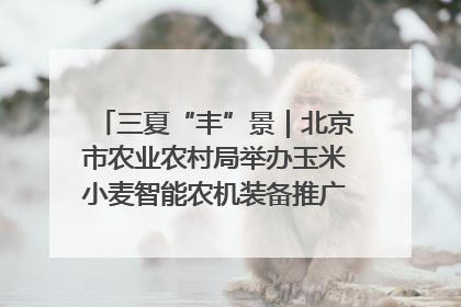 三夏“丰”景｜北京市农业农村局举办玉米小麦智能农机装备推广“田间日”活动