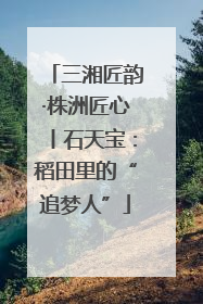 三湘匠韵·株洲匠心丨石天宝：稻田里的“追梦人”