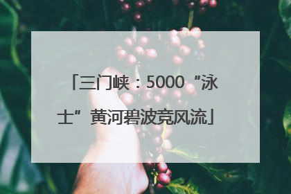 三门峡：5000“泳士”黄河碧波竞风流