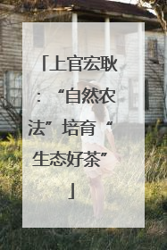 上官宏耿：“自然农法”培育“生态好茶”