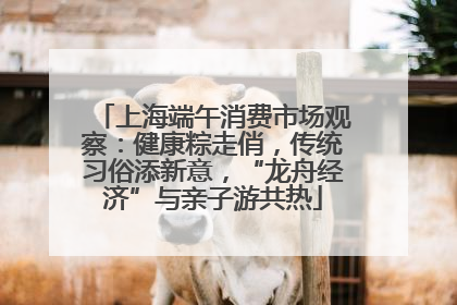 上海端午消费市场观察：健康粽走俏，传统习俗添新意，“龙舟经济”与亲子游共热