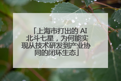 上海市打出的 AI 北斗七星，为何能实现从技术研发到产业协同的闭环生态