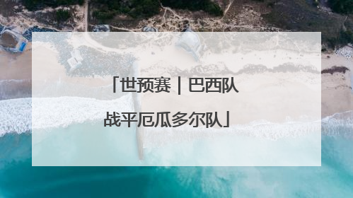 世预赛｜巴西队战平厄瓜多尔队