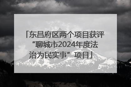东昌府区两个项目获评“聊城市2024年度法治为民实事”项目
